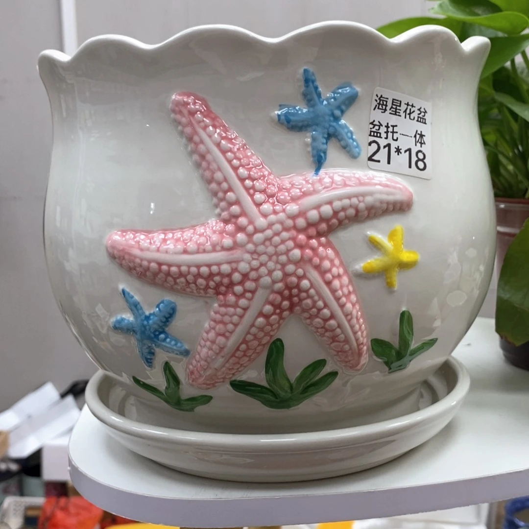 @陶瓷花盆@@特大海星
