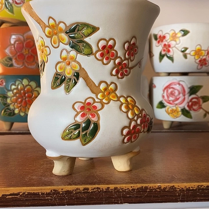 韩式多肉植物花盆