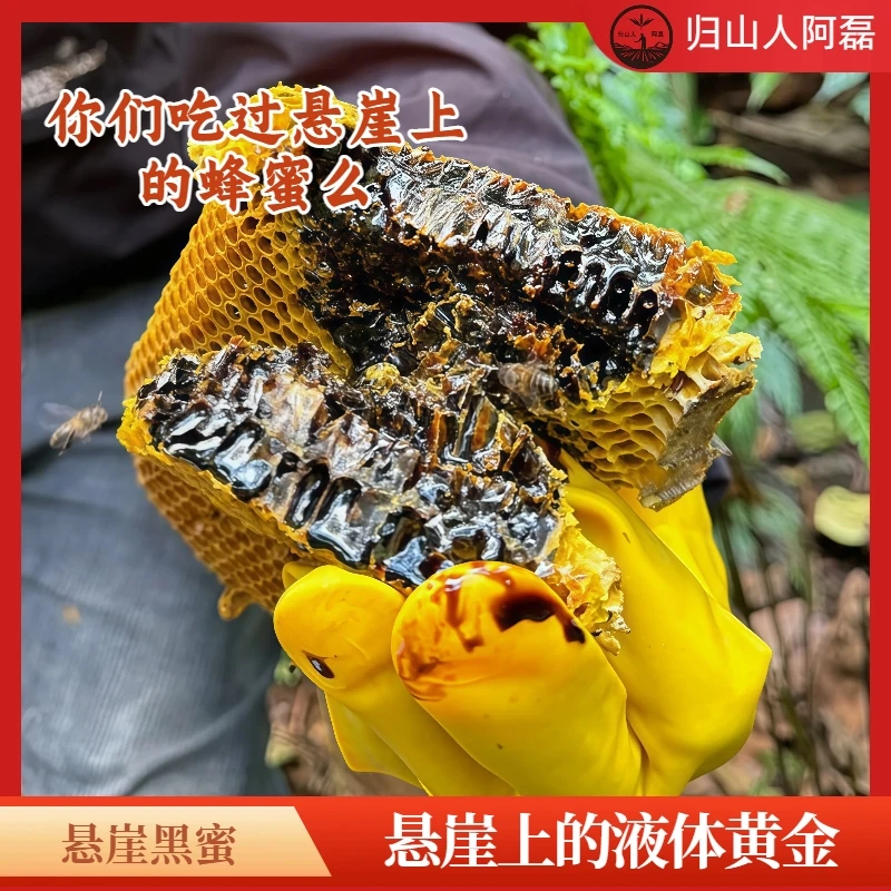 高山高海拔悬崖黑蜂蜜 农家原生态黑蜂蜜