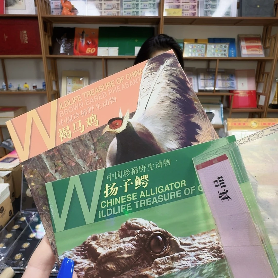 其他普通金属鸡，鳄卡册