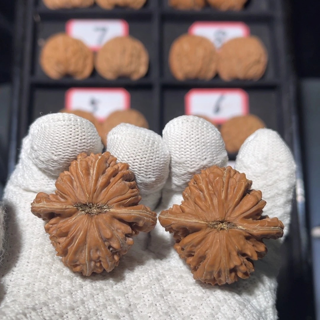 吊坠文玩核桃01秦皇岛山地果全品一代楼