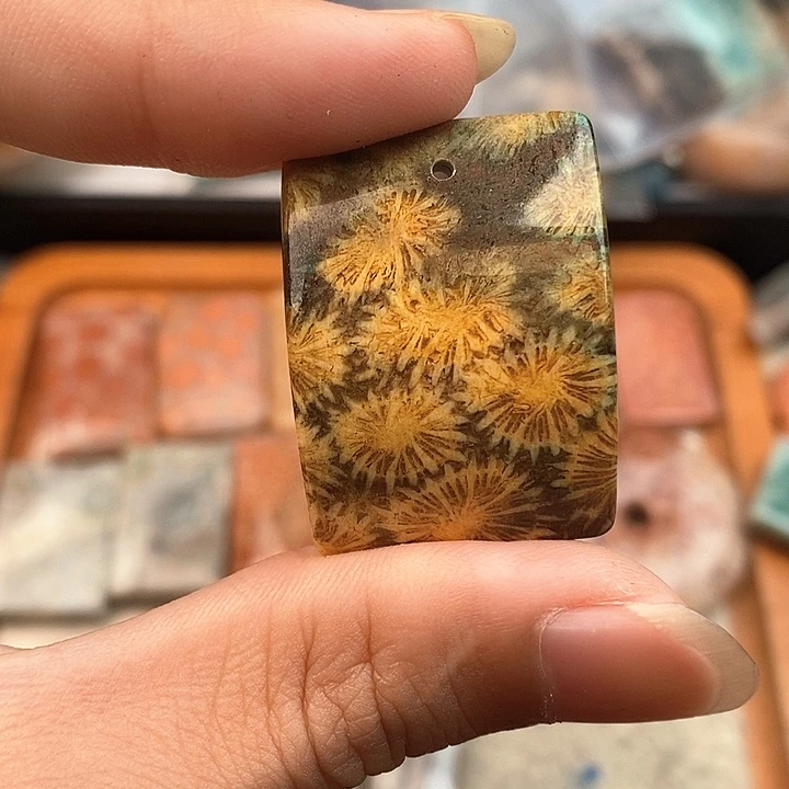 硅化玉颈饰未镶嵌小*