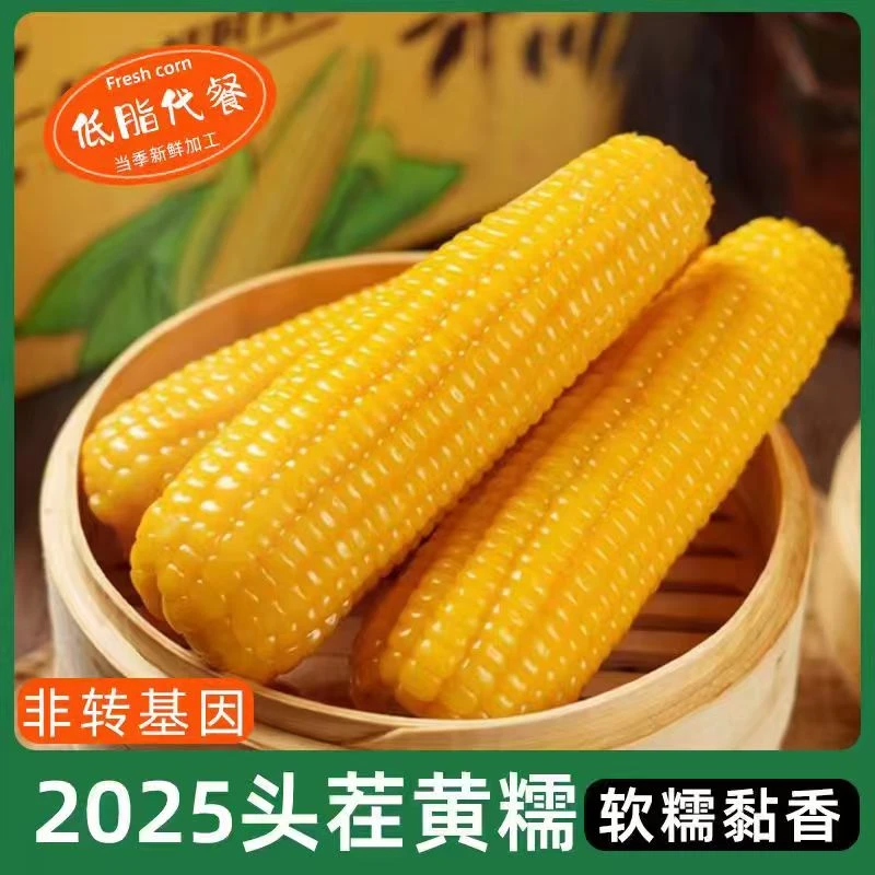 【试吃3根】25年东北头茬糯九玉米10根软糯香甜真空锁鲜5-6斤