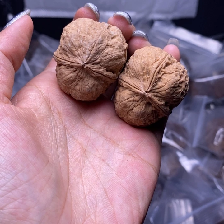 核桃云南野生铁核桃61号38mm