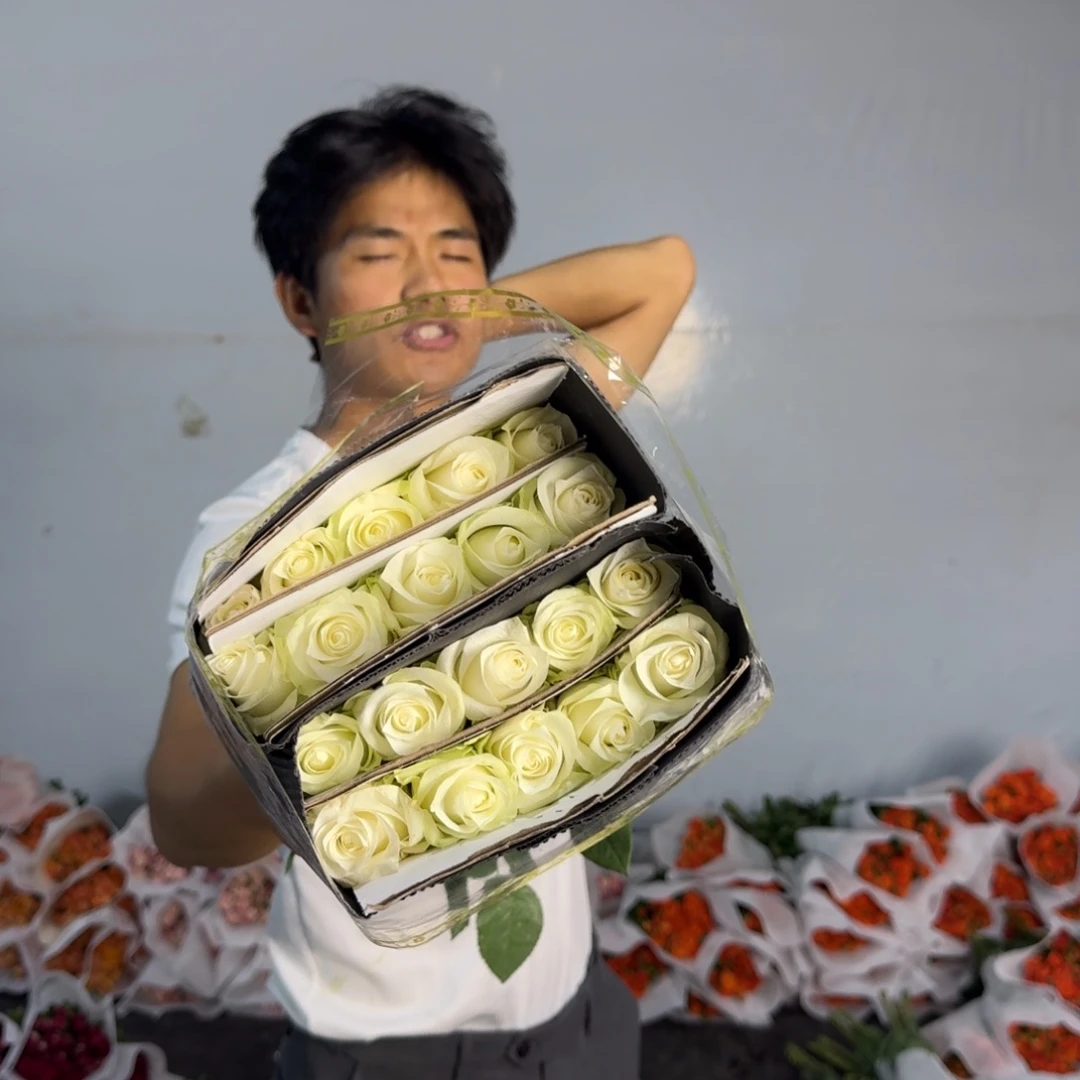 骄傲2扎包邮价秒杀