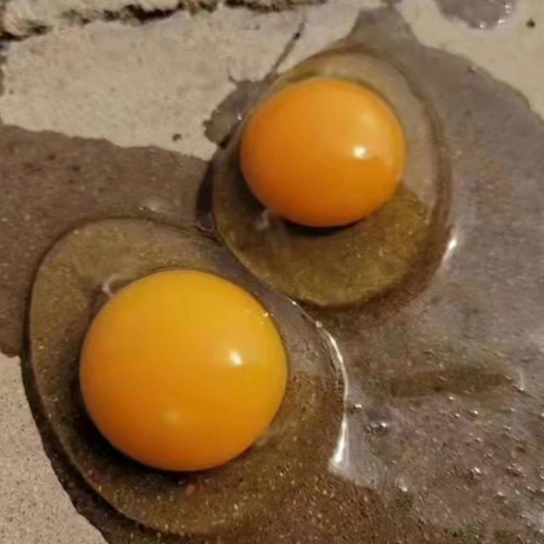 (柴鸡蛋)跑山鸡散养鸡次日达三斤起