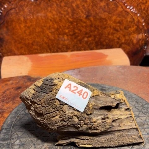 大果紫檀（缅甸花梨）