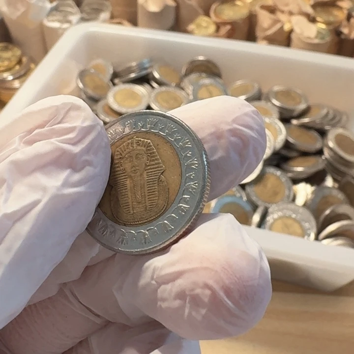 其他普通金属法老币，流通品