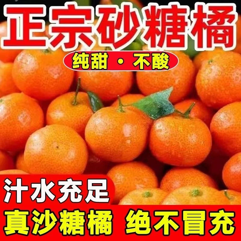 正宗广西砂糖橘新鲜桔子当季薄皮无籽沙糖桔孕妇水果橘子砂糖整箱