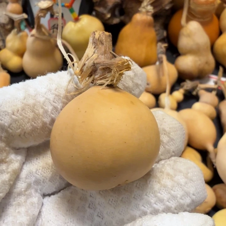 如****676666777778888889999