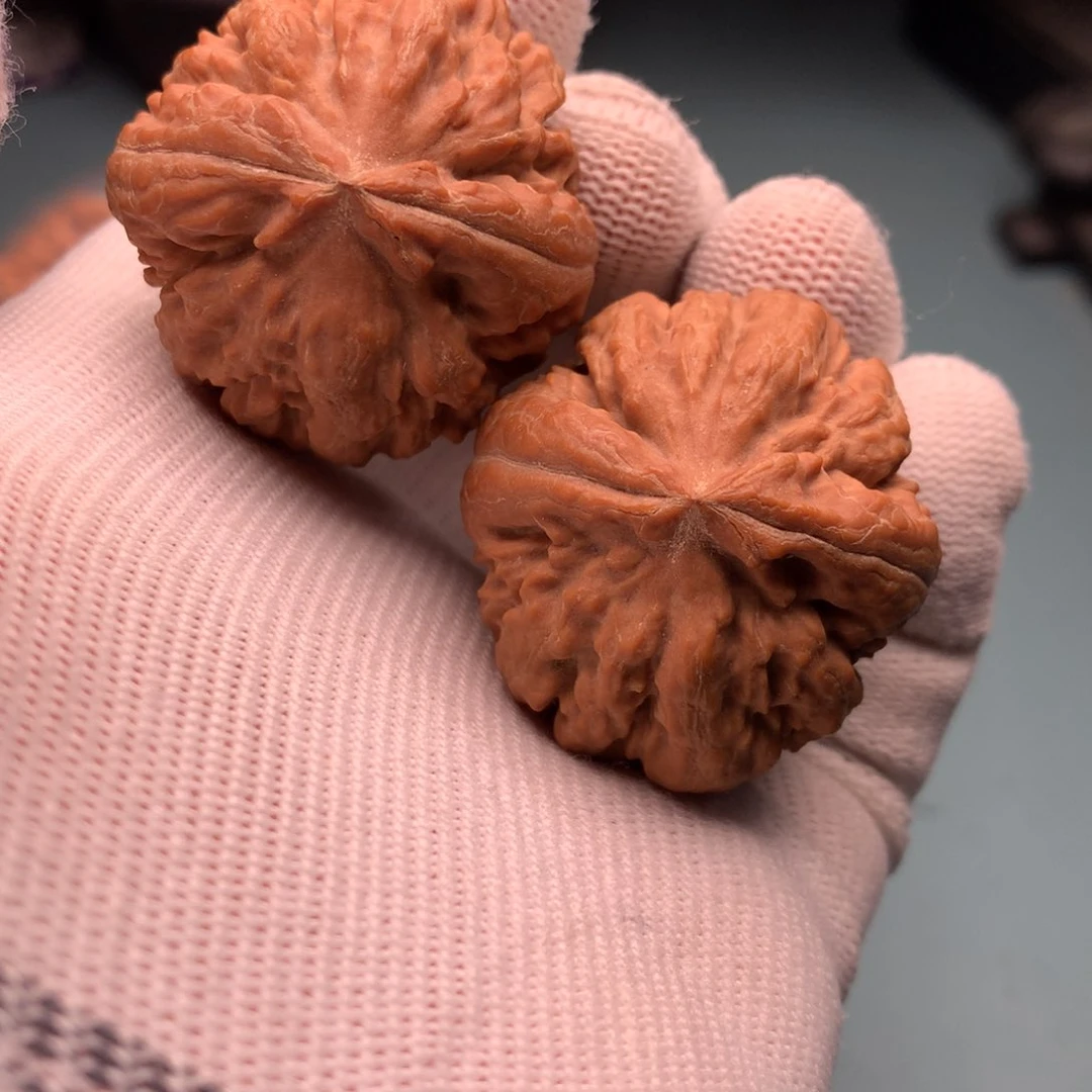 文玩核桃把件陈****哥霸王龙18