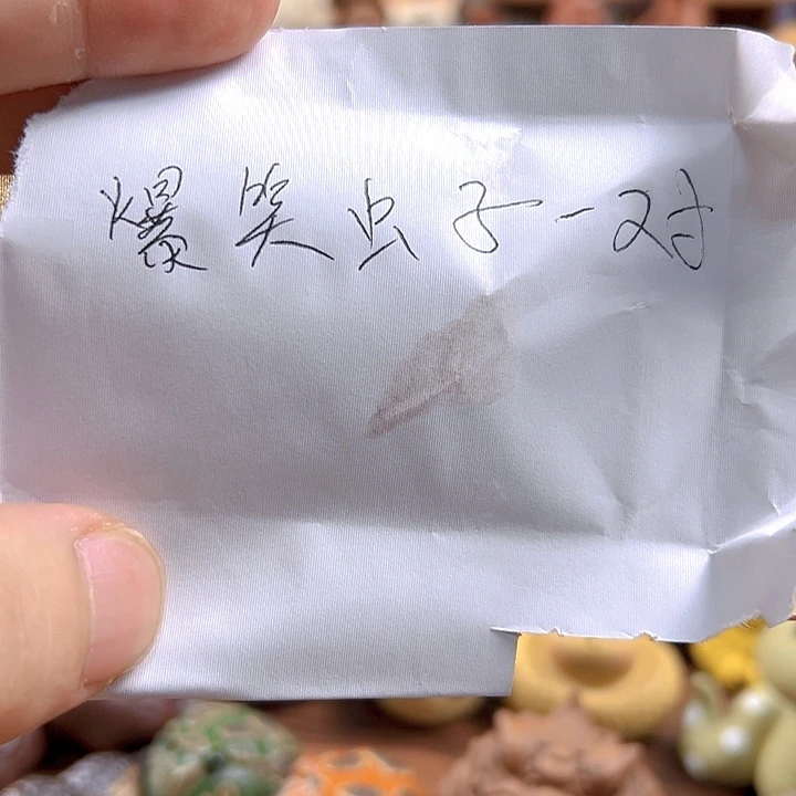 紫砂茶宠紫砂茶宠爆笑虫子一对