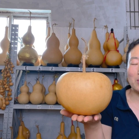 …*天然植物葫芦文玩