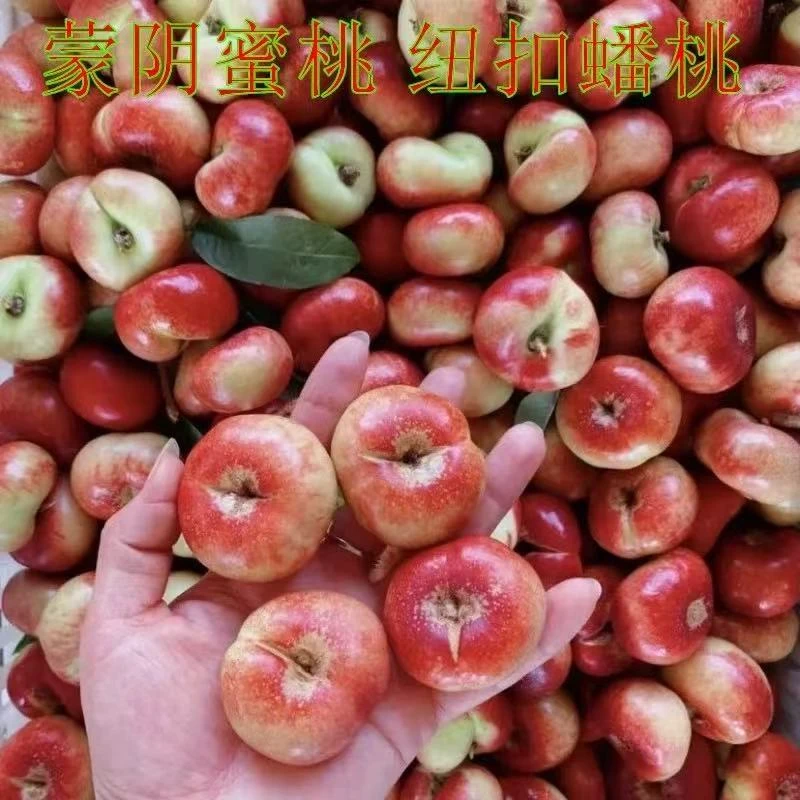 【1小时送到】正宗山东纽扣蟠桃 肉厚核小3斤【到货24小时售后 超24无】山西省