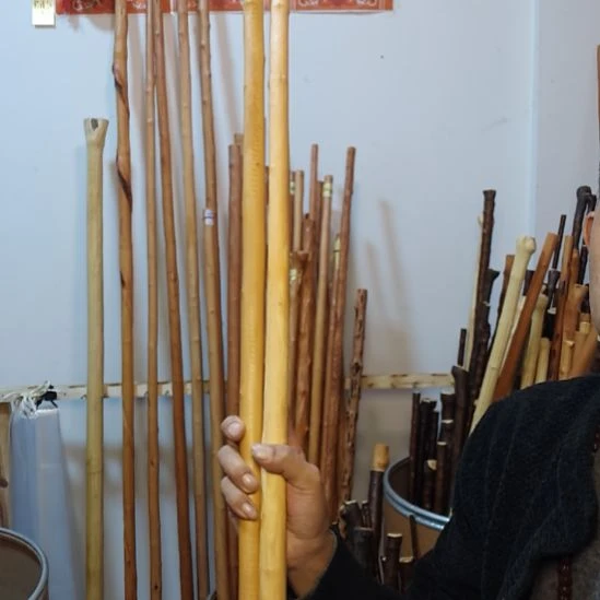 二***音秦岭石山红荀子，牛筋