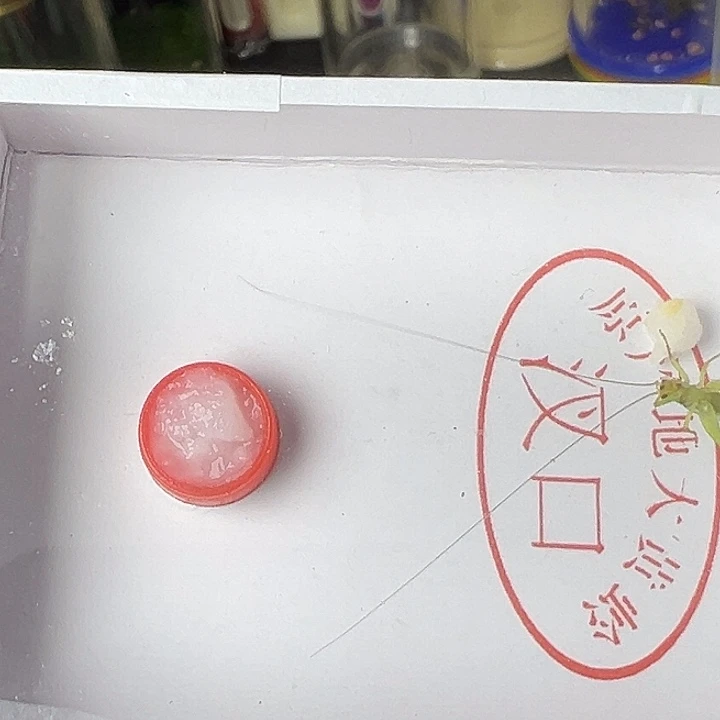 用****6哈哈哈哈哈哈哈就好