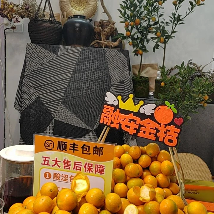 金橘4号大果（花果）一斤