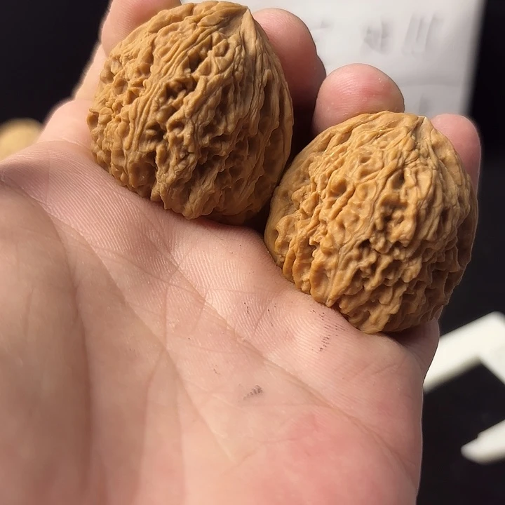 大叶紫檀（黑酸枝木类）