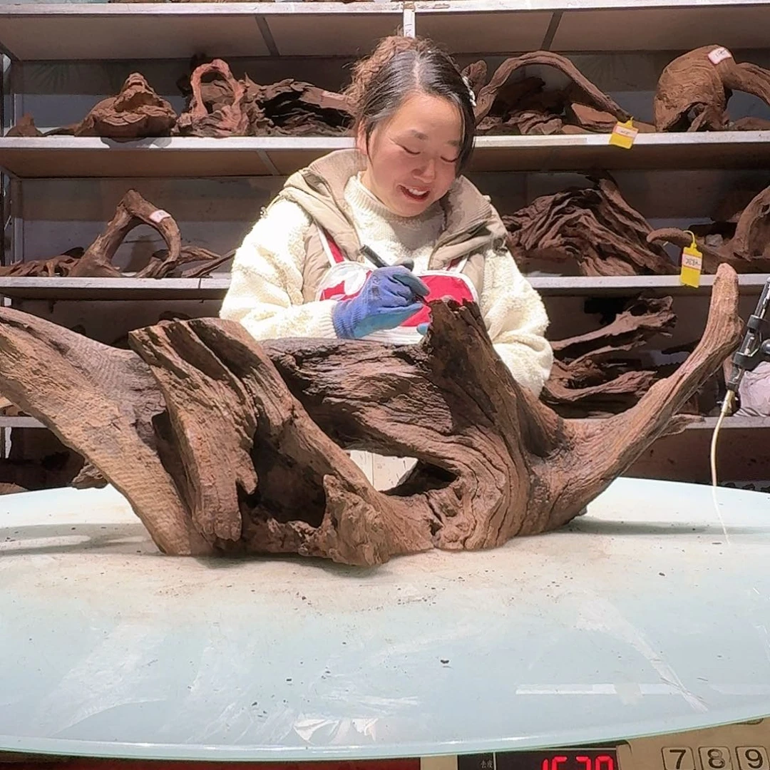 倍诸沉木不包损必褪色成****适6695