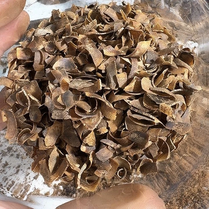 沉香碎屑沉香功**猫奇楠切片147克