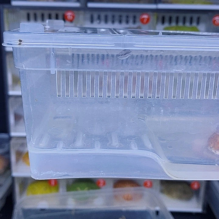 特价秒杀原价多少