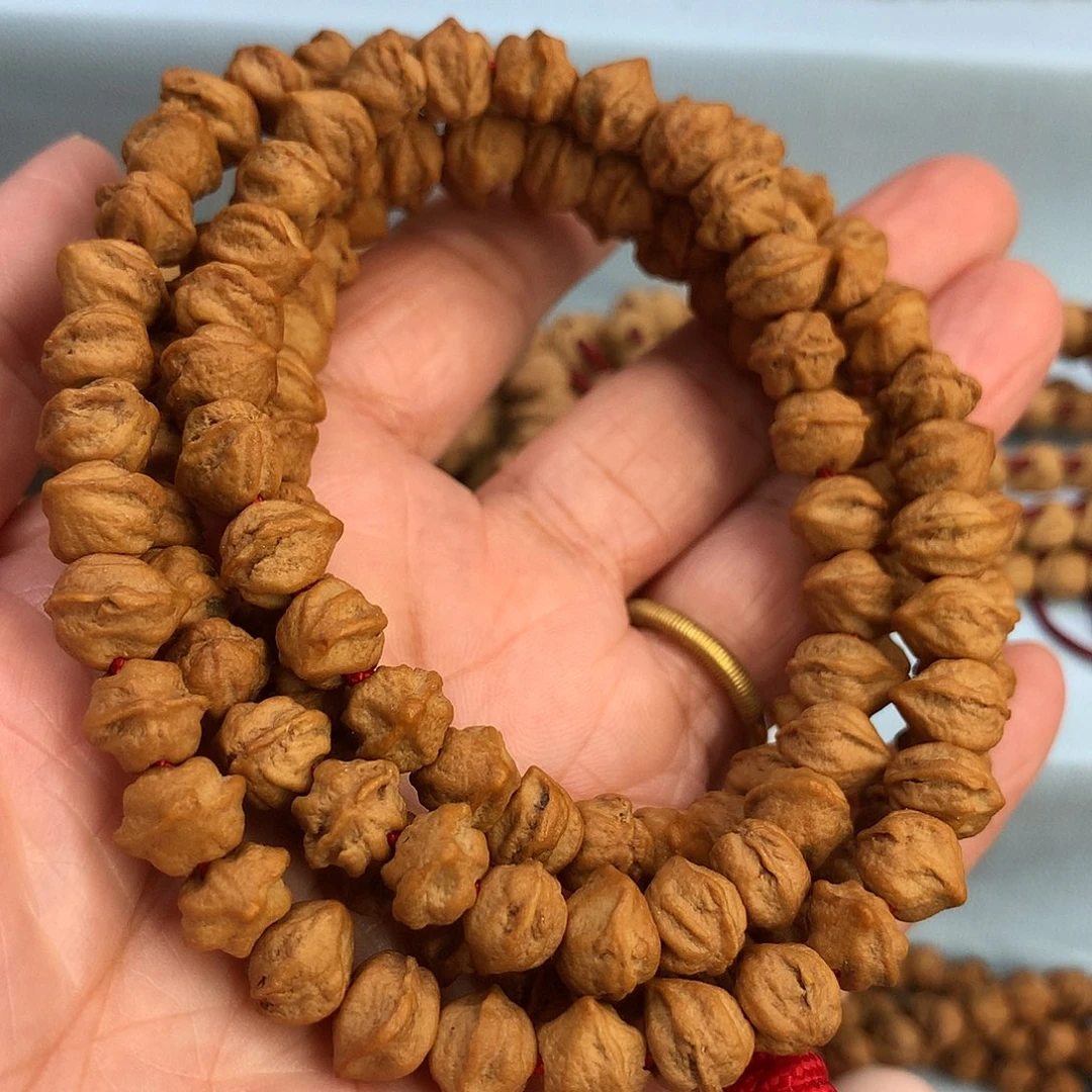 多棱白芽横打原桩