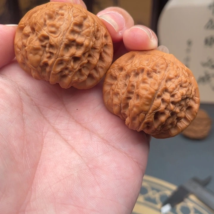 核桃39红皮血麒麟微修