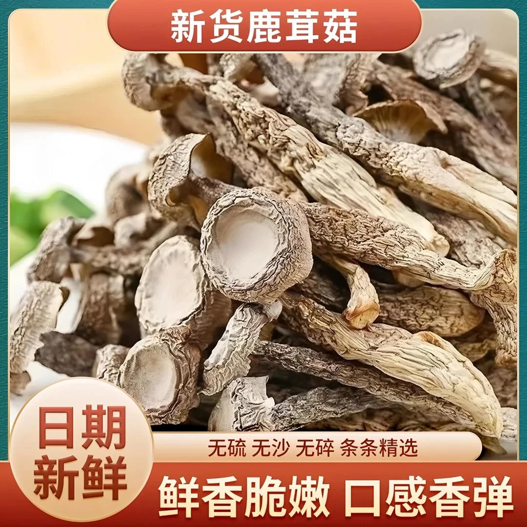 【可试吃1袋】到手4袋*50克25年无干燥剂古田精选鹿茸菇新鲜鹿茸干