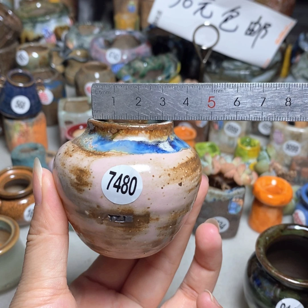 拍5送一个小礼物