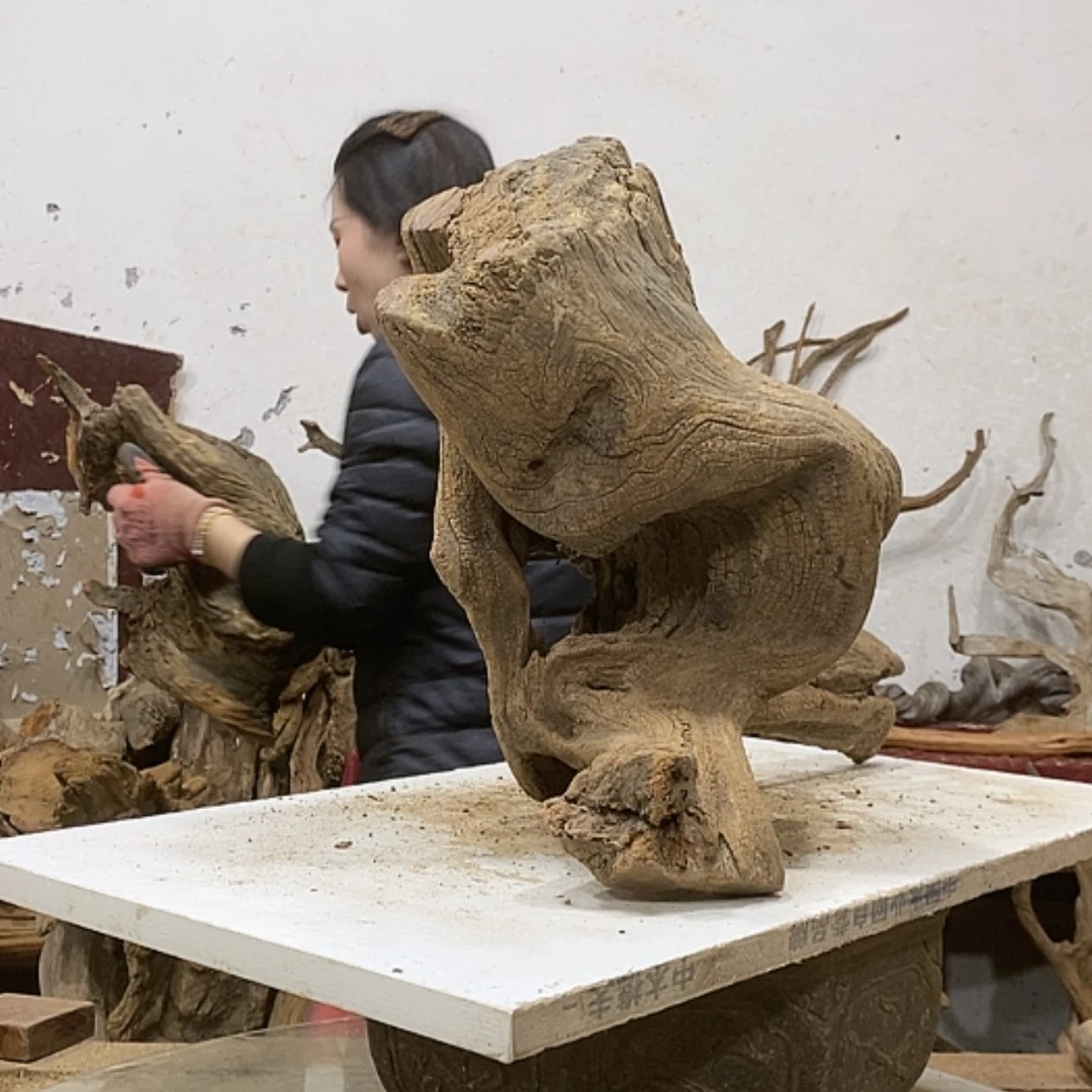 【闪购商品】柏木轩**龙我们都是好孩子