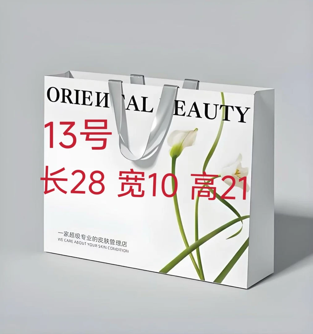 13号小号旅行包轻奢百搭包包A6572-1