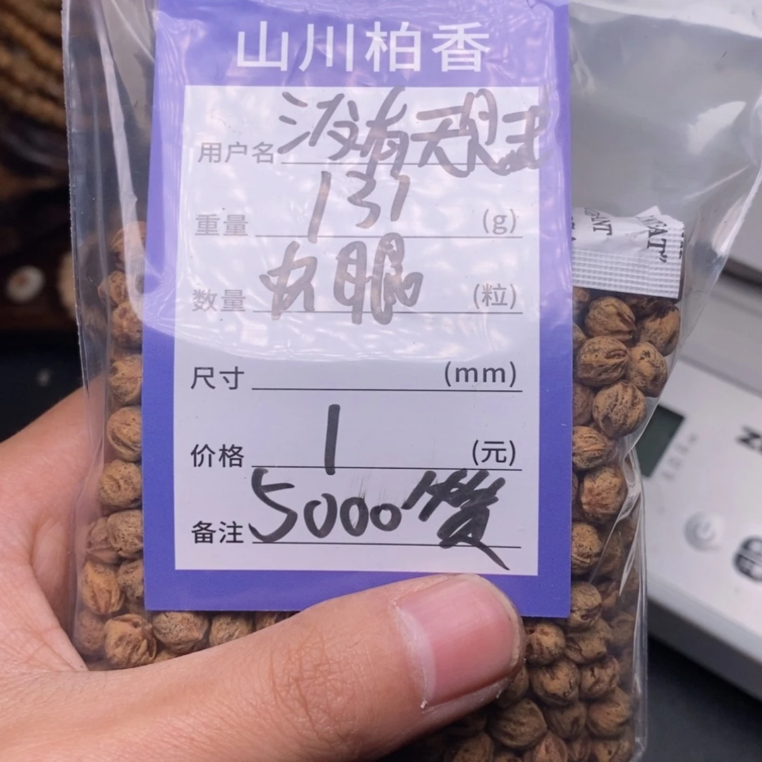 柏香籽/百香籽吊坠没****生