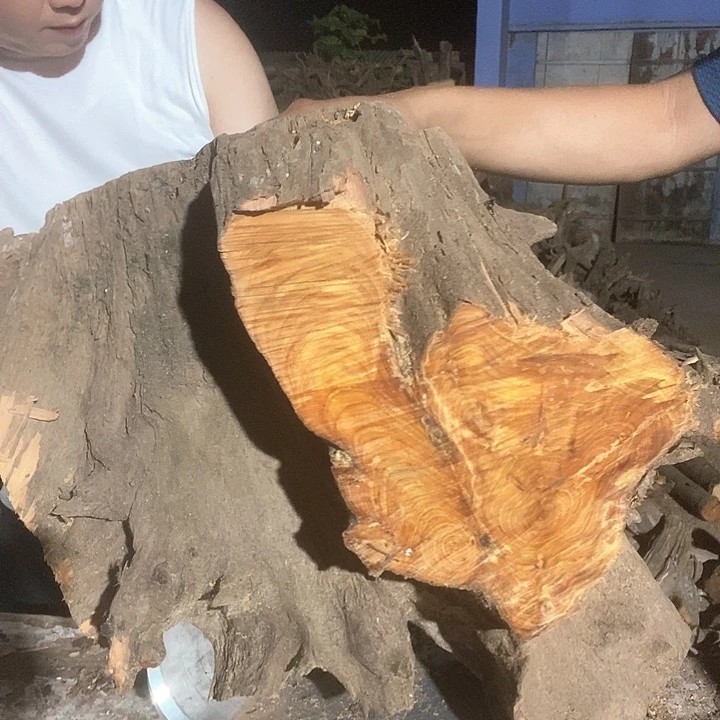 老**图太行的太行的太行的