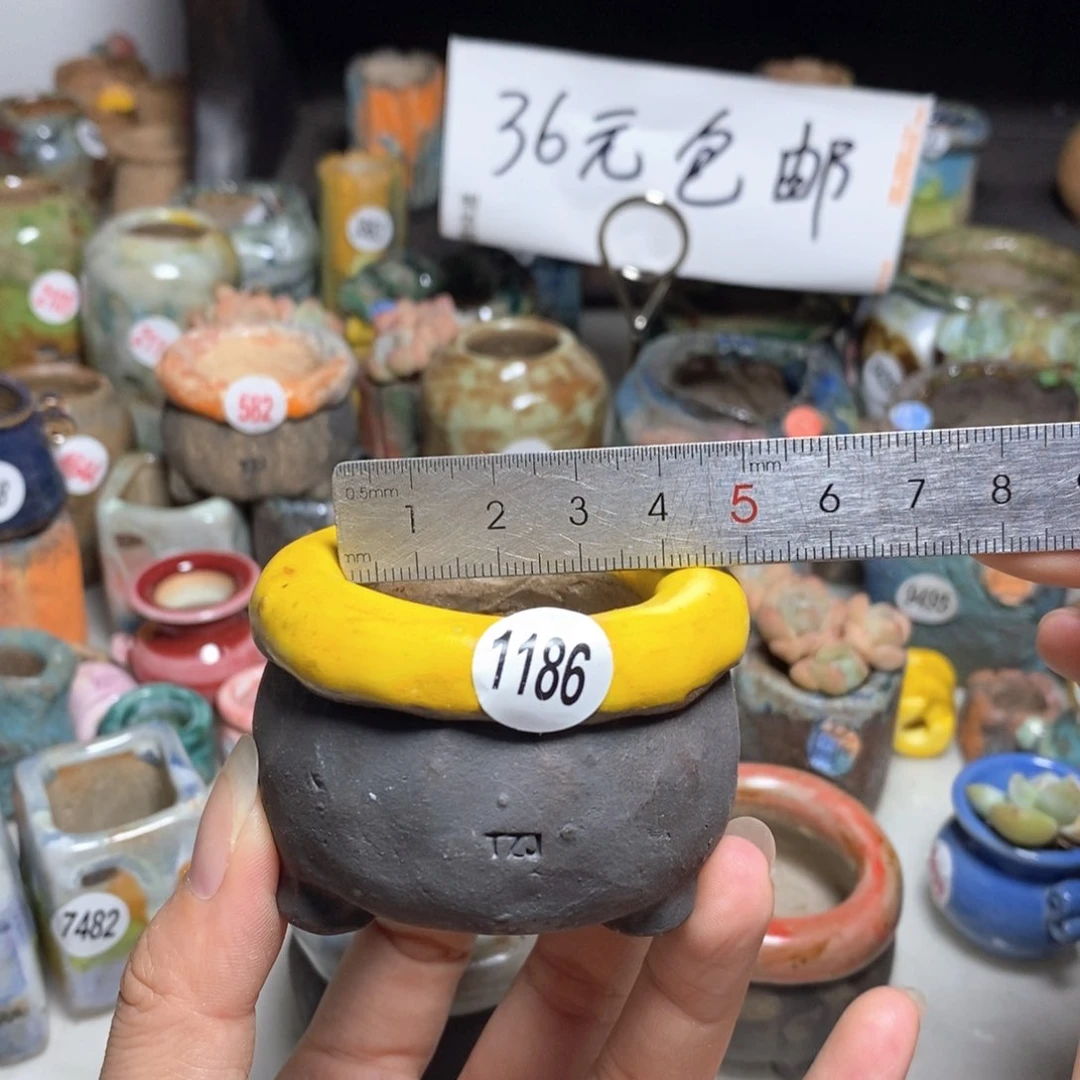 拍3送一个小礼物