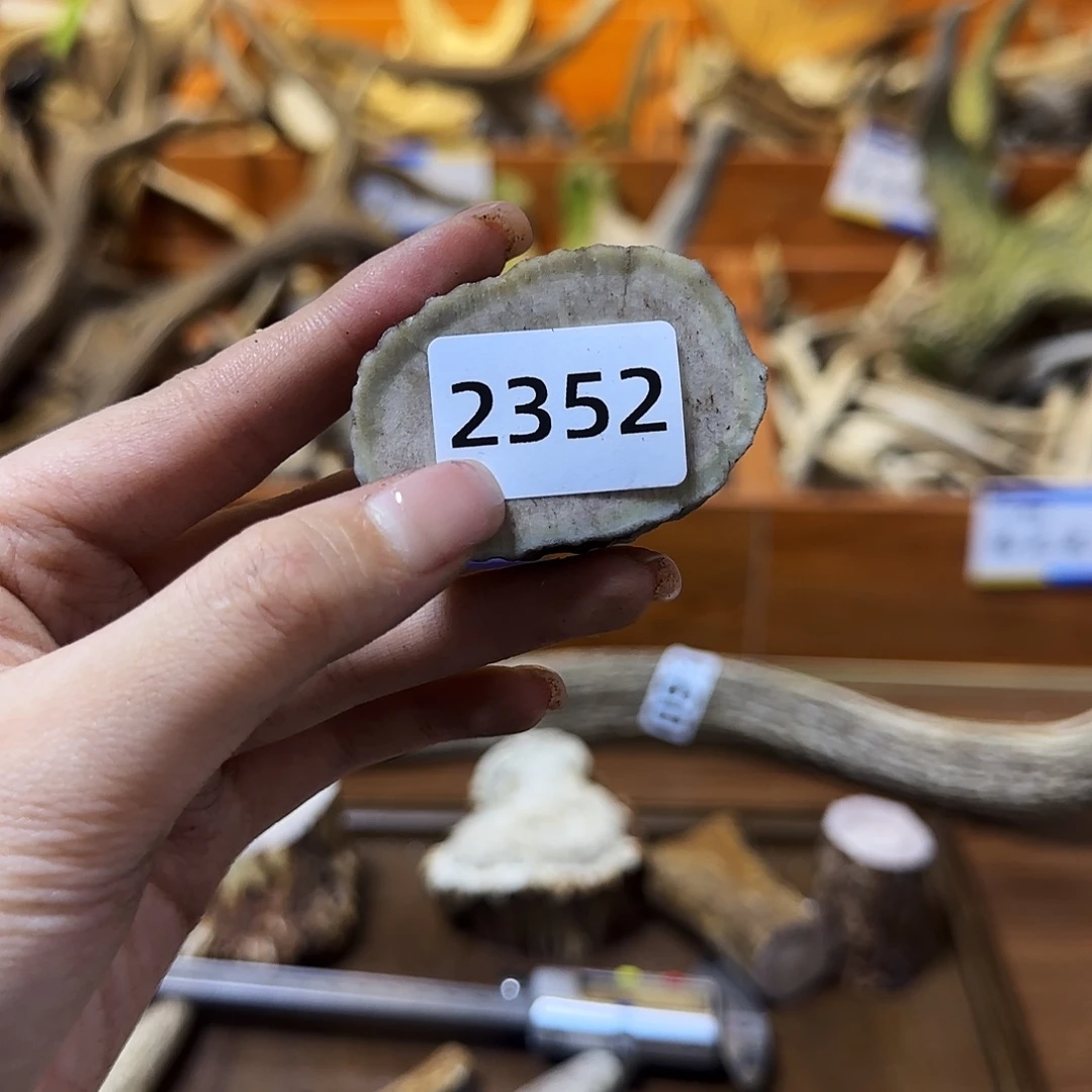 鹿骨手串/手链角片2352