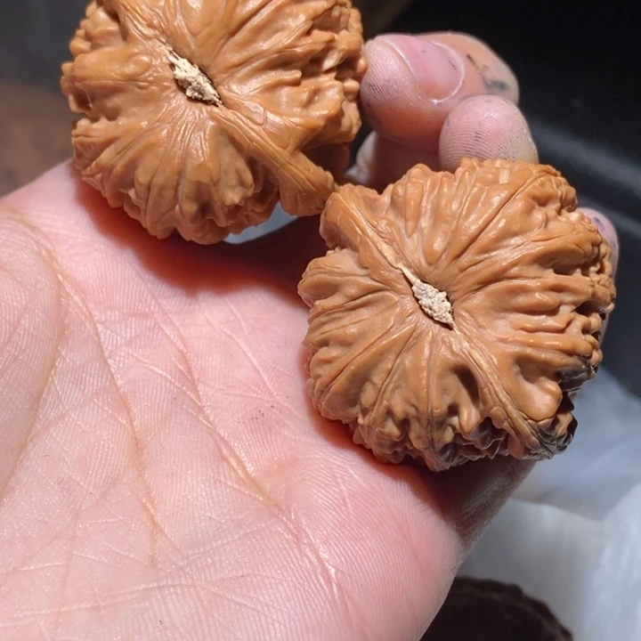 ℡***️桃核吊坠有修白狮子