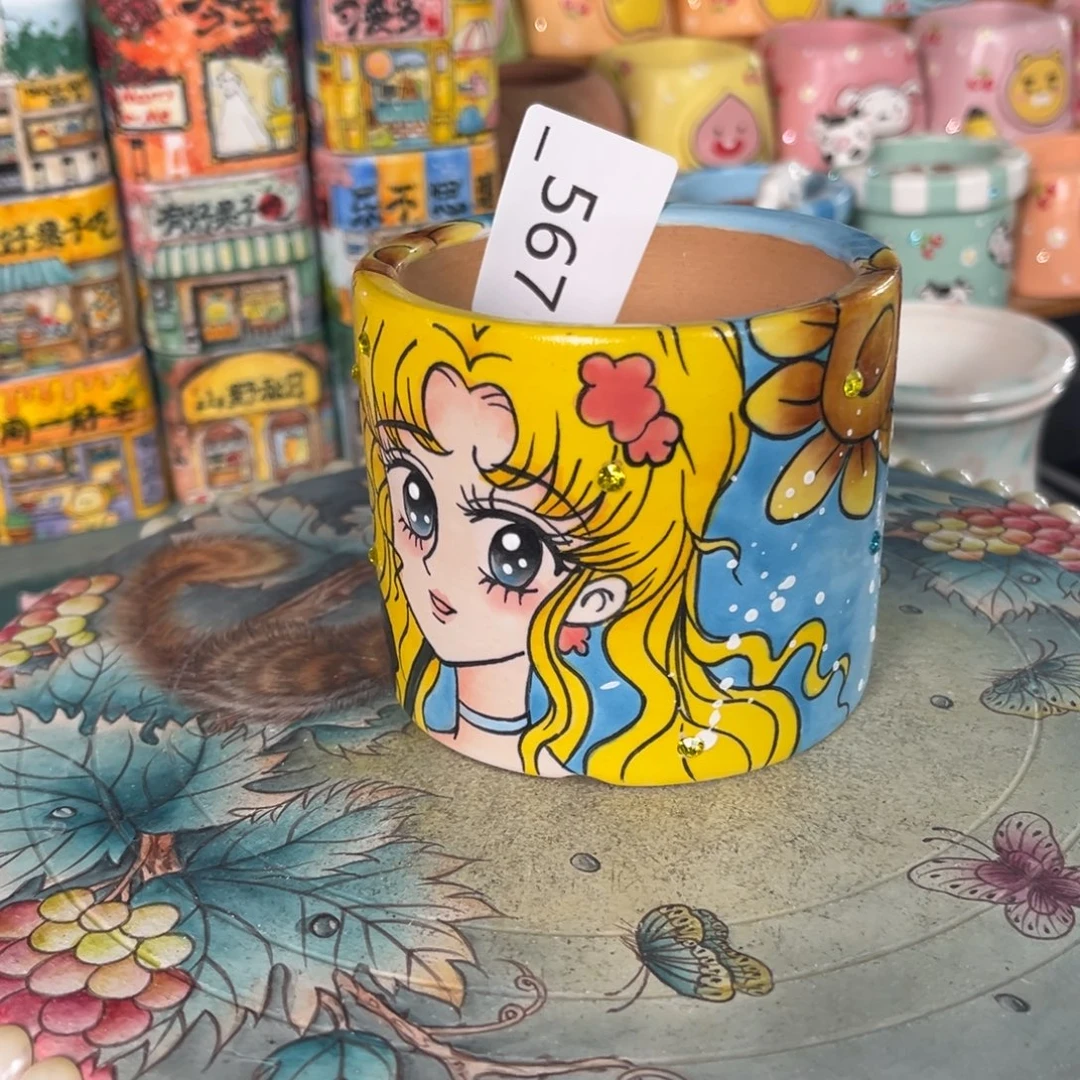 一***)567多肉花盆   1个