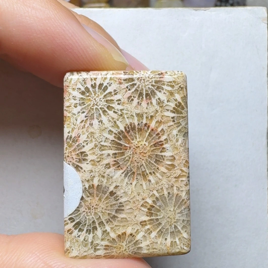 未镶嵌美花花，边缘微骨骼硅化玉