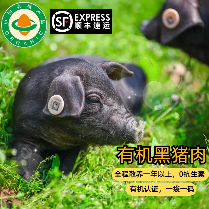 有机跑山黑猪肉，林间散养一年有机认证/猪前腿后腿精排中秋好物