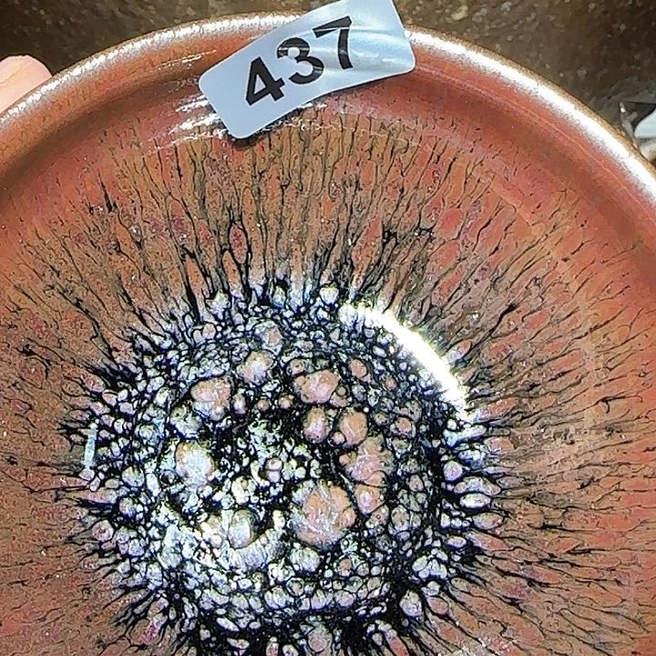 茶盏木**迷在一起就是要幸福快乐哦哈