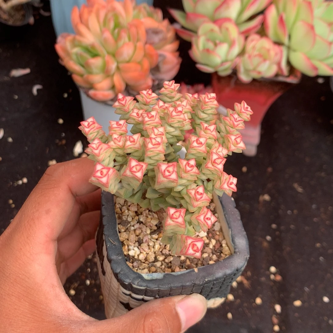 我们就能成为好老师