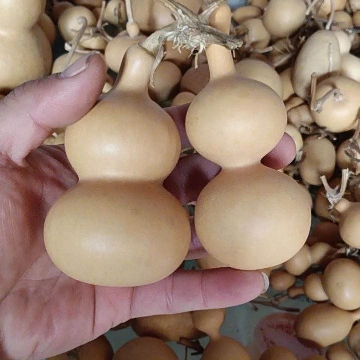 黎*文玩葫芦，两个八宝葫芦