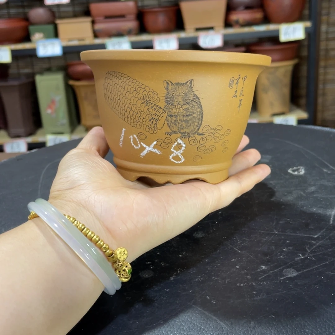 紫砂花盆我们在这里