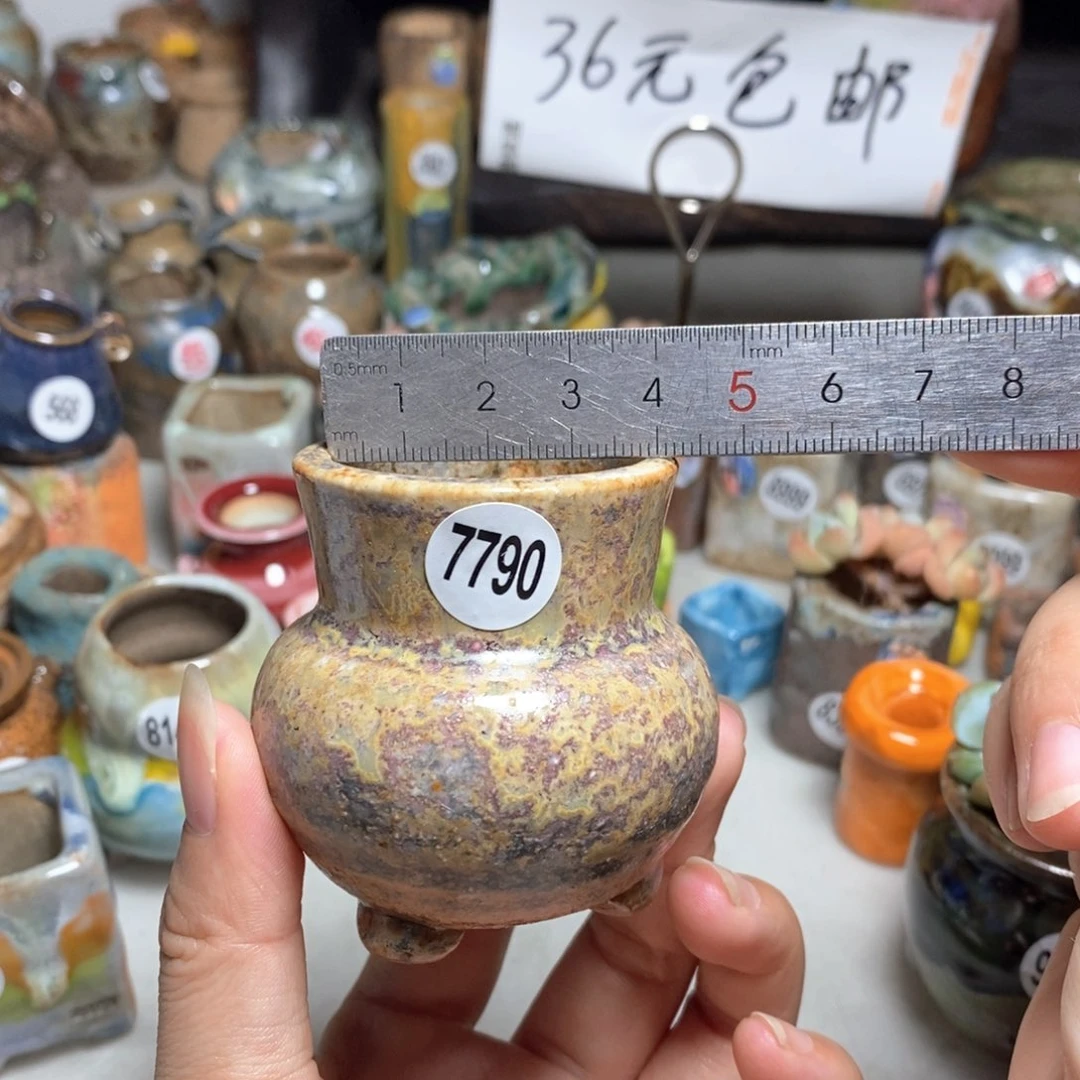 拍5送一个小礼物