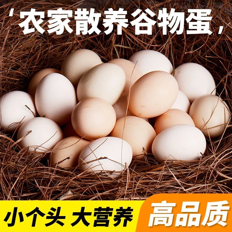 【次日达】农家土鸡蛋吗买30枚送20枚贵州大山散养土鸡蛋农家跑山鸡柴鸡蛋每天新鲜直达