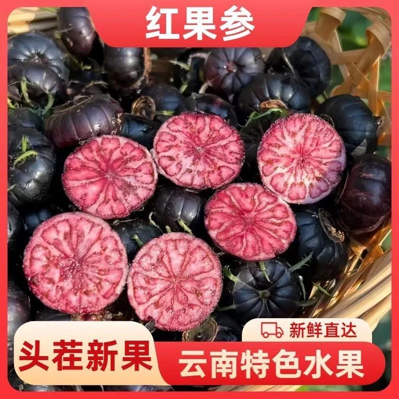 【彩箱发货】云南新鲜红果参蜘蛛果产地直发当季现摘稀有水果