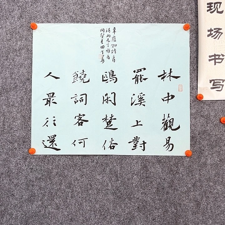 书法回金华老师林中观48×40