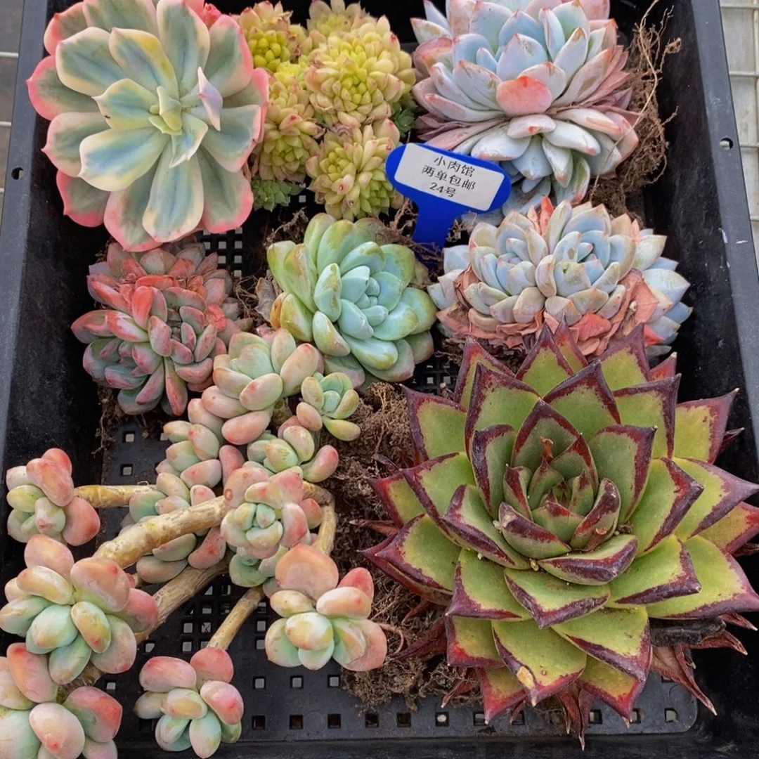 24-精品框拍一个