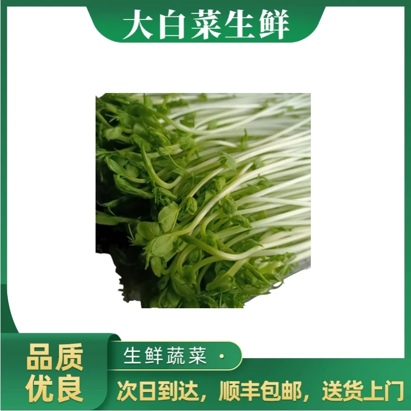 豌豆苗 250g±20g