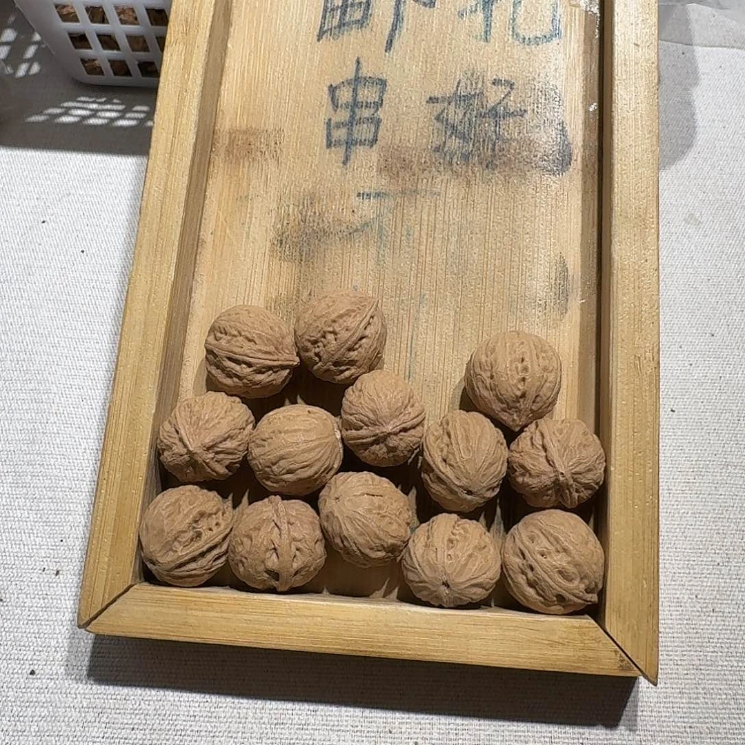 核桃手串/手链66号边18肚20高20